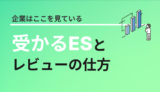 留学生のエントリーシートはこれを書こう！【留学生の就職対策】